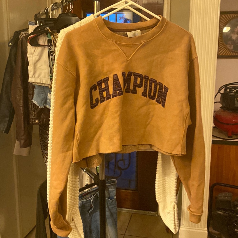 Brown champion crop sweater